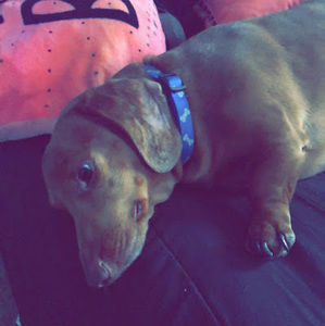 Meet your Posher, Chelsea_13